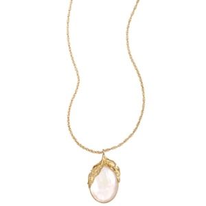 Chloe + Isabel Feather + Cabochon Long Pendant Necklace